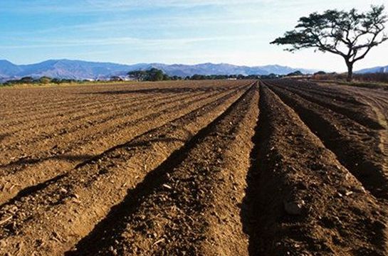 估價過程中相關技術參數的確定和難點分析